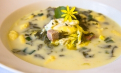 Supă de măcriș sălbatic cu leurdă