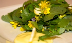 Ranunchulus cu vinaigrette cu lămâie